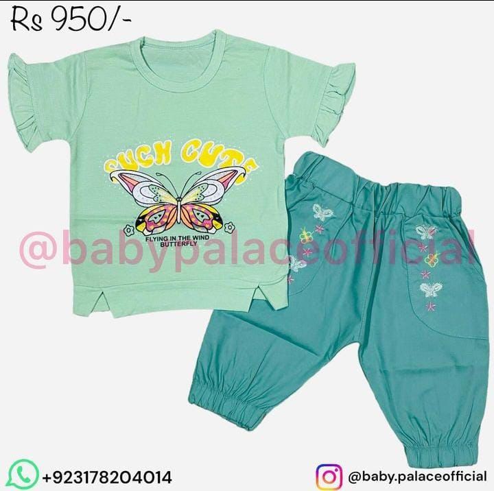 2 piece butterfly 🦋